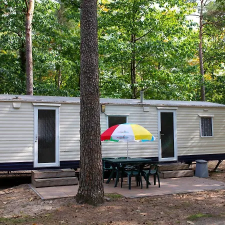 Holiday home Oostappen Arnhem-8 By Interhome *